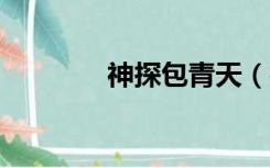神探包青天（神探包青天2）