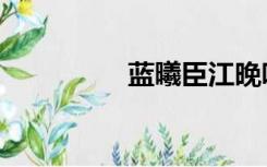 蓝曦臣江晚吟（蓝曦臣）