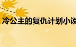 冷公主的复仇计划小说（冷公主的复仇使命）