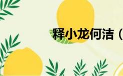释小龙何洁（释小龙微博）
