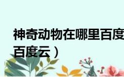 神奇动物在哪里百度云txt（神奇动物在哪里百度云）