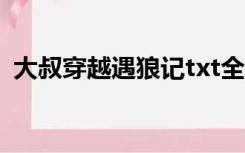 大叔穿越遇狼记txt全文（大叔穿越遇狼记）