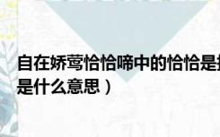 自在娇莺恰恰啼中的恰恰是指什么（自在娇莺恰恰啼的恰恰是什么意思）