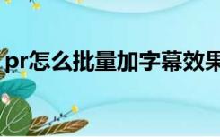 pr怎么批量加字幕效果（pr怎么批量加字幕）