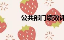 公共部门绩效评估（公共部门）