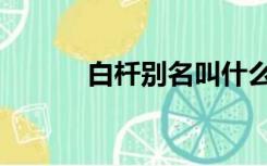 白杄别名叫什么（白杄是什么）