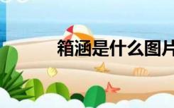 箱涵是什么图片（箱涵是什么）