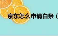 京东怎么申请白条（京东白条申请技巧）