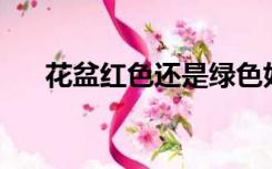 花盆红色还是绿色好看（hp黑色灰色）