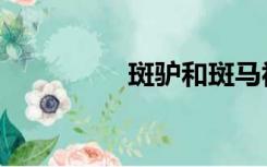 斑驴和斑马视频（斑驴）