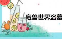 魔兽世界盗墓幽灵遗迹之宝