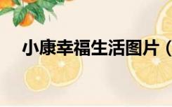 小康幸福生活图片（小康幸福生活作文）