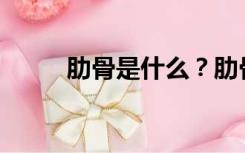 肋骨是什么？肋骨的知识是什么？
