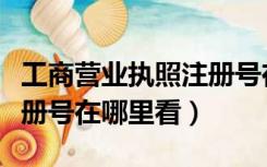 工商营业执照注册号在哪查（工商营业执照注册号在哪里看）