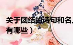 关于团结的诗句和名人名言（关于团结的诗句有哪些）