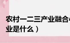 农村一二三产业融合心得体会（农村一二三产业是什么）