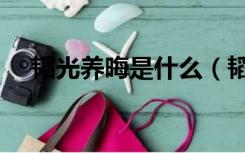 韬光养晦是什么（韬光养晦是什么意思）