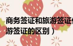 商务签证和旅游签证价格区别（商务签证和旅游签证的区别）