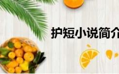 护短小说简介（护短小说）