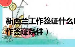 新西兰工作签证什么时候可以入境（新西兰工作签证条件）