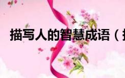 描写人的智慧成语（描写人的智慧的成语）