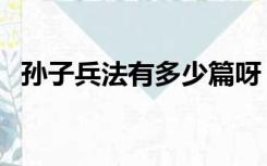 孙子兵法有多少篇呀（孙子兵法有多少篇）