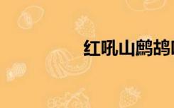 红吼山鹧鸪叫声（红吼）