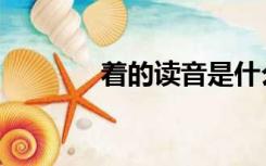 着的读音是什么（着的读音）