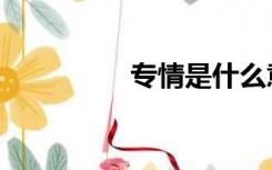 专情是什么意思（专情）