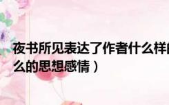 夜书所见表达了作者什么样的情感（夜书所见表达了作者什么的思想感情）