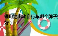 锂电池电动自行车哪个牌子好（锂电池电动自行车哪个牌子好）