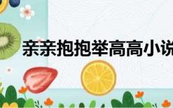 亲亲抱抱举高高小说（亲亲抱抱举高高）