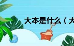 大本是什么（大本是什么学历）