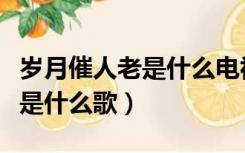 岁月催人老是什么电视剧主题曲（岁月催人老是什么歌）
