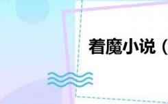 着魔小说（着魔小说）
