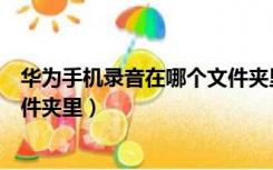 华为手机录音在哪个文件夹里存储（华为手机录音在哪个文件夹里）