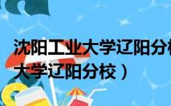 沈阳工业大学辽阳分校教务处官网（沈阳工业大学辽阳分校）