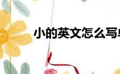 小的英文怎么写单词（小的英文）