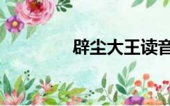 辟尘大王读音（辟尘大王）