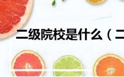 二级院校是什么（二级院校是什么意思）