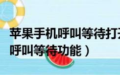 苹果手机呼叫等待打开了却用不了（苹果手机呼叫等待功能）