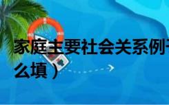 家庭主要社会关系例子（家庭主要社会关系怎么填）