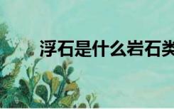 浮石是什么岩石类型（浮石是什么）