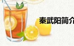 秦武阳简介（秦武阳）