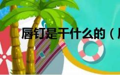 唇钉是干什么的（唇钉是干什么用的）