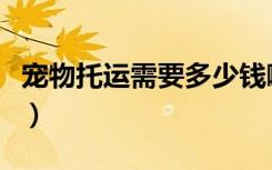 宠物托运需要多少钱啊（宠物托运需要多少钱）
