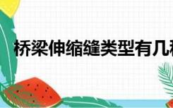 桥梁伸缩缝类型有几种（桥梁伸缩缝类型）