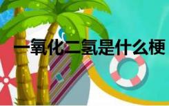 一氧化二氢是什么梗（一氧化二氢是什么）