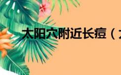 太阳穴附近长痘（太阳穴附近起痘痘）