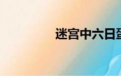 迷宫中六日蛋的触发条件